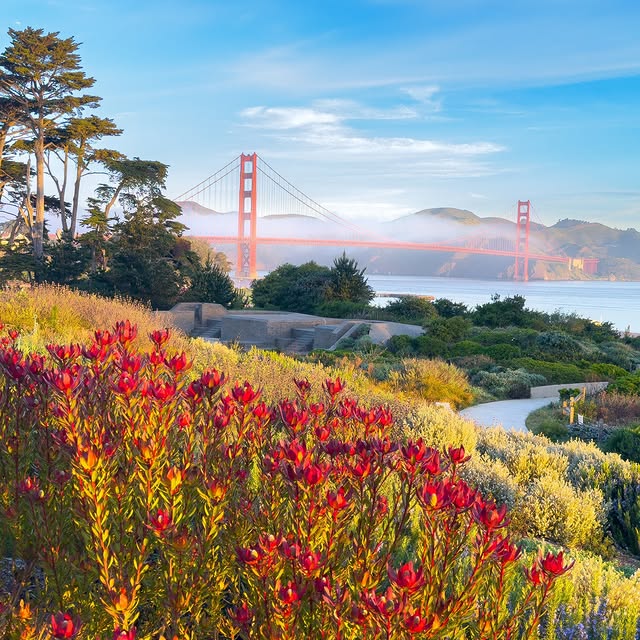  ......aphael   'recent posts' 