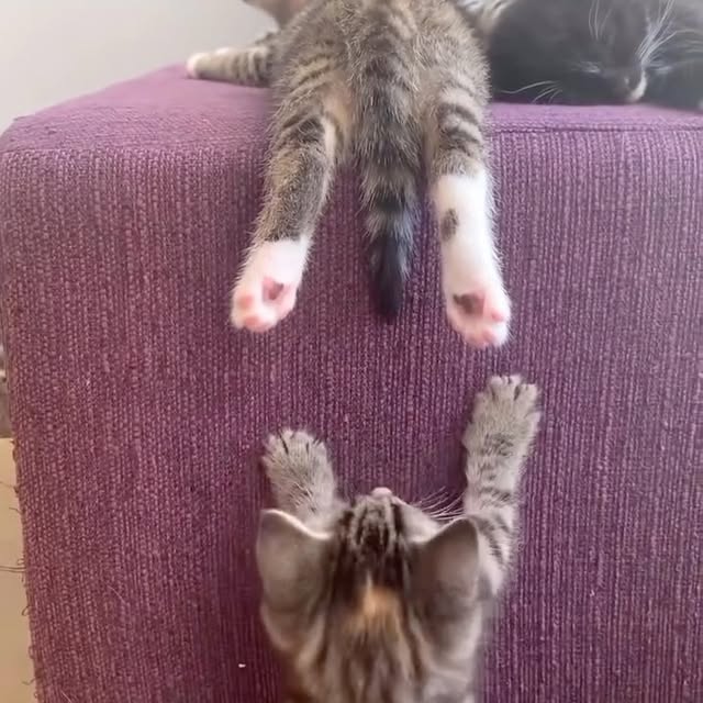  .....fweek   'recent posts' 