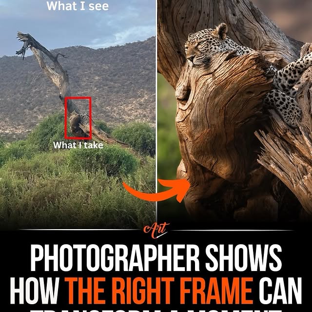  ........ionfervor   'recent posts' 