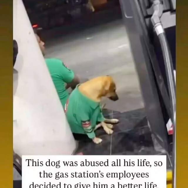  ....s.acc   'recent posts' 