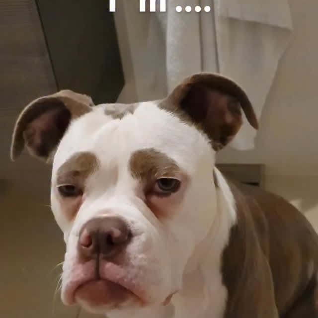  .......eyebrows   'recent posts' 