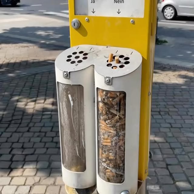  .....alerie   'recent posts' 