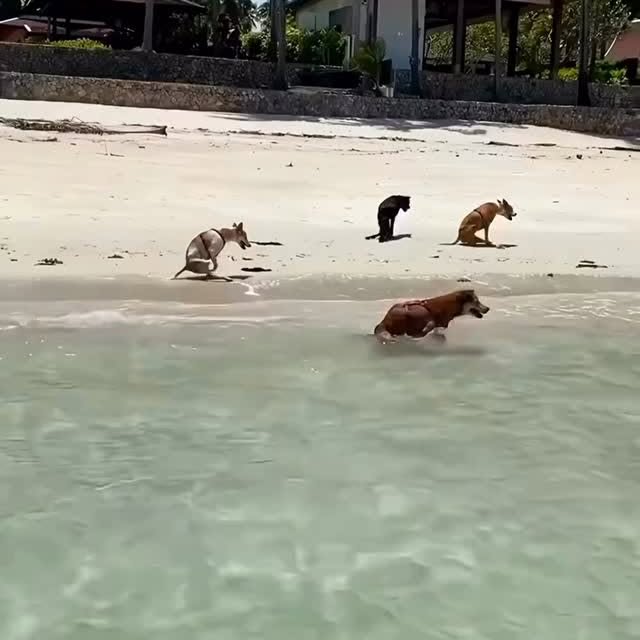  ...urre   'recent posts' 