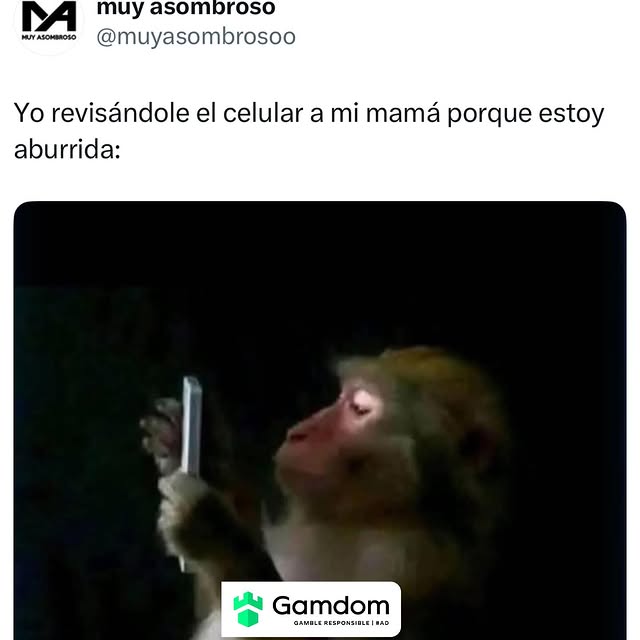  ......mbroso   'recent posts' 