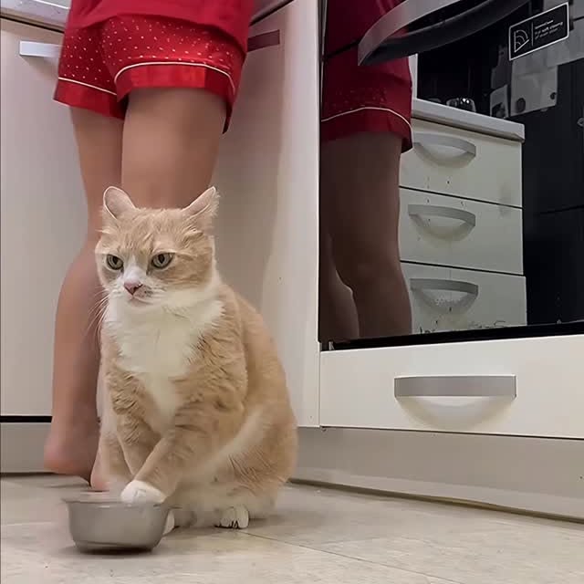  ........malsgram   'recent posts' 