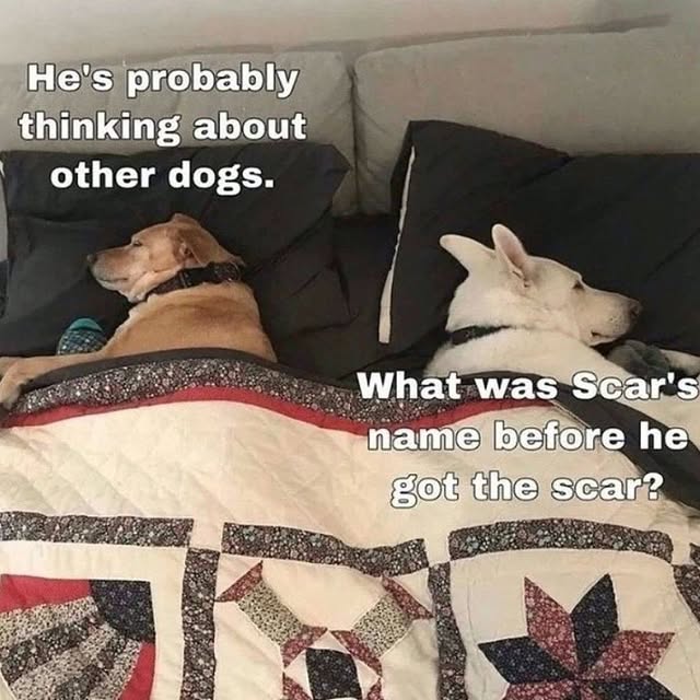  .......ndrulzz   'recent posts' 