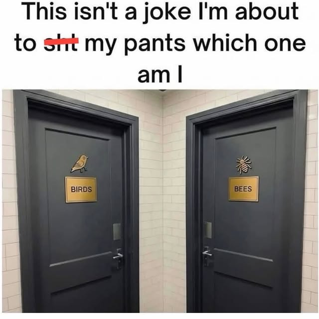  .....umors   'recent posts' 