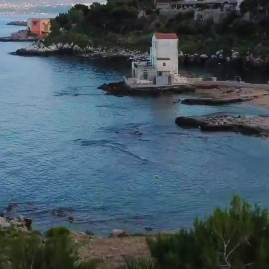  ......liano_   'recent posts' 