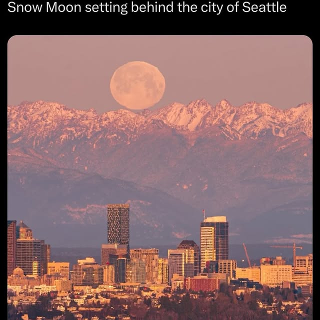  .......ailydose   'recent posts' 