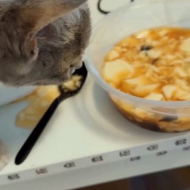  .......sinhome   'recent posts' 