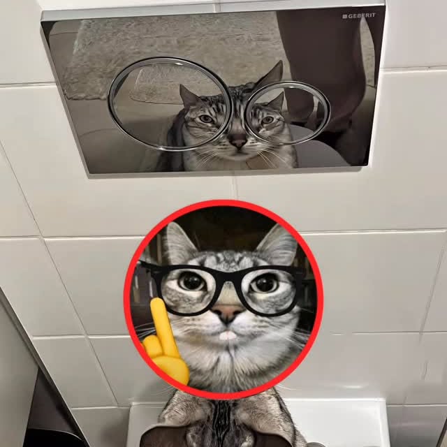  ............orning_kisser   'recent posts' 