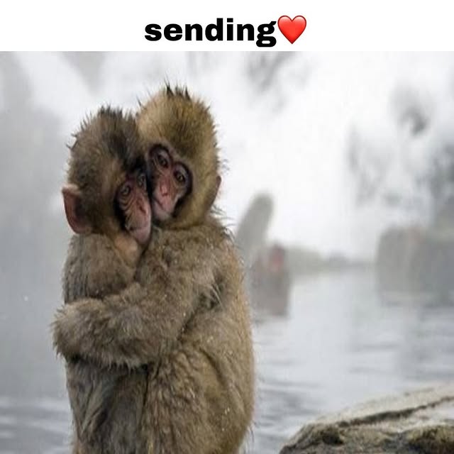  .......posting   'recent posts' 