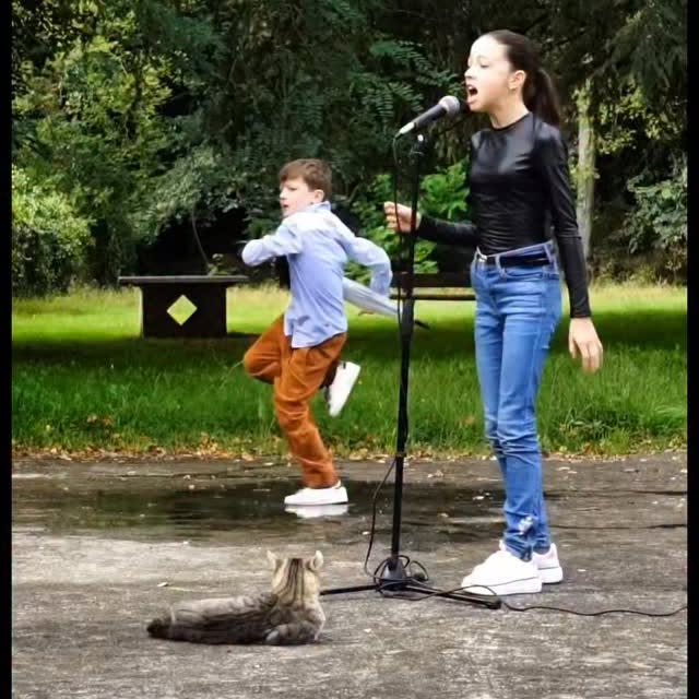  .........z.official   'recent posts' 