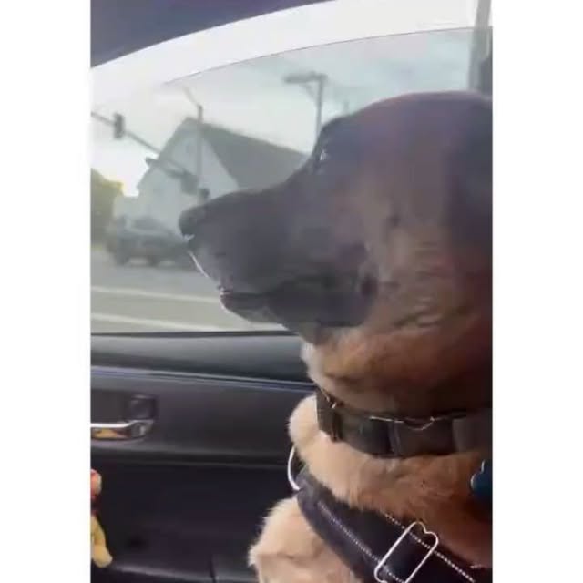  .....ibess   'recent posts' 