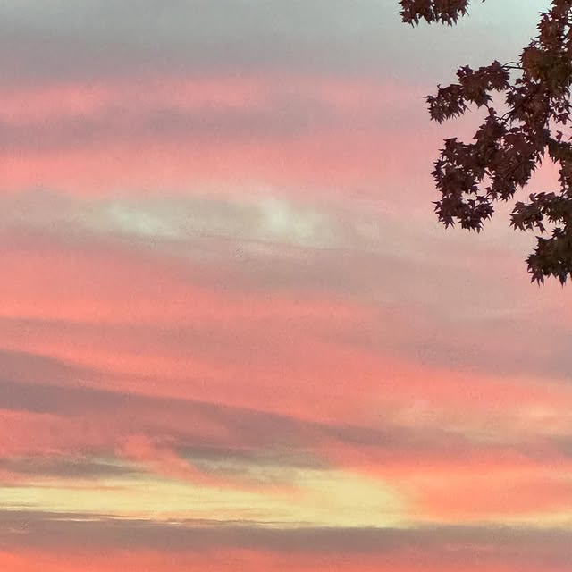  ...ky_k   'recent posts' 