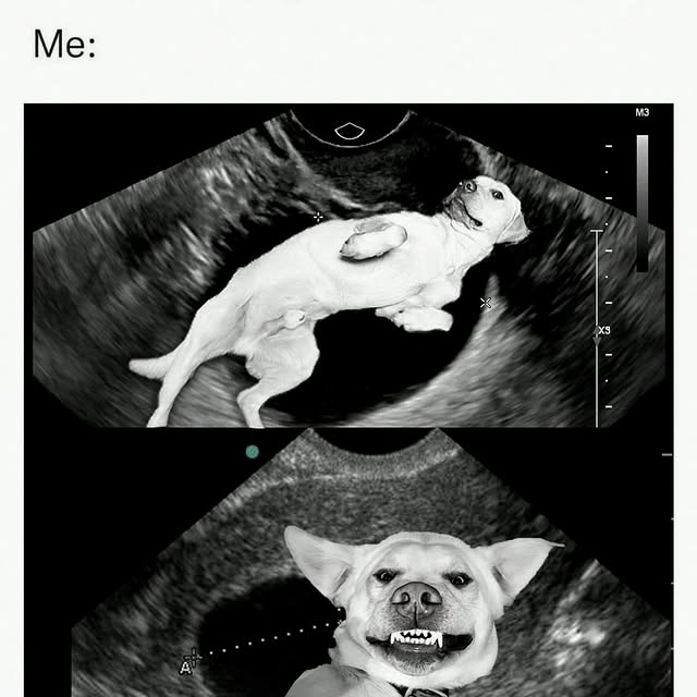  .......ndrulzz   'recent posts' 