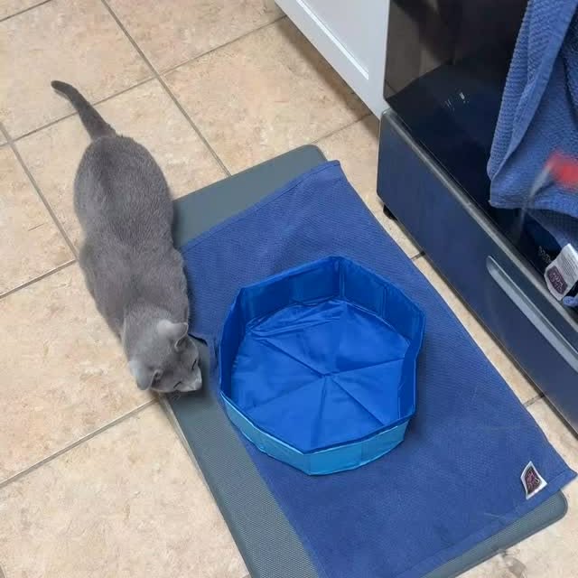  ......n_boris   'recent posts' 