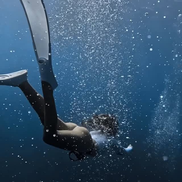  ......uecoast   'recent posts' 