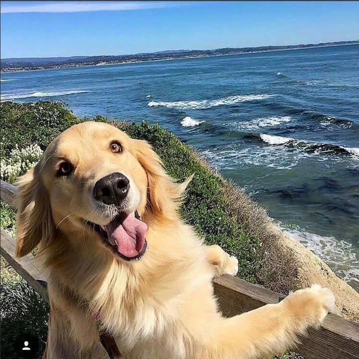 Hire .......nfinito influencer with 666.2k