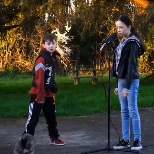  .........z.official   'recent posts' 