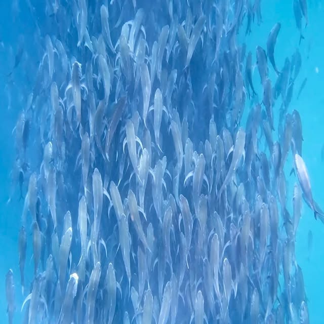  .......tamundos   'recent posts' 