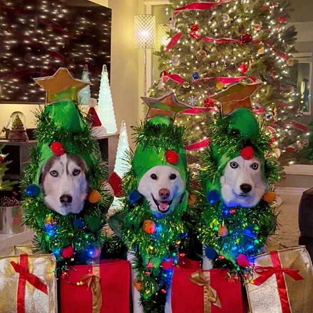  .....eteers   'recent posts' 