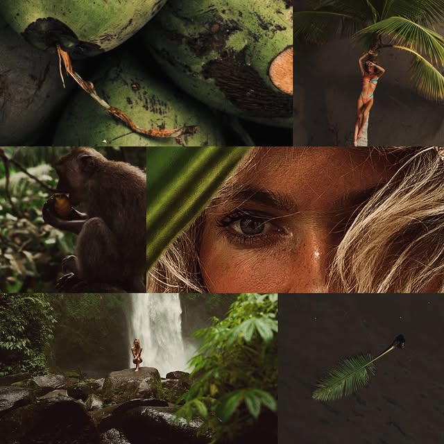  ......edustin   'recent posts' 