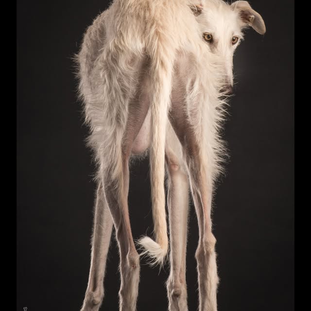  ..........hotography   'recent posts' 