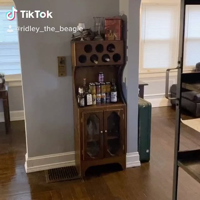  ........he_beagle   'recent posts' 