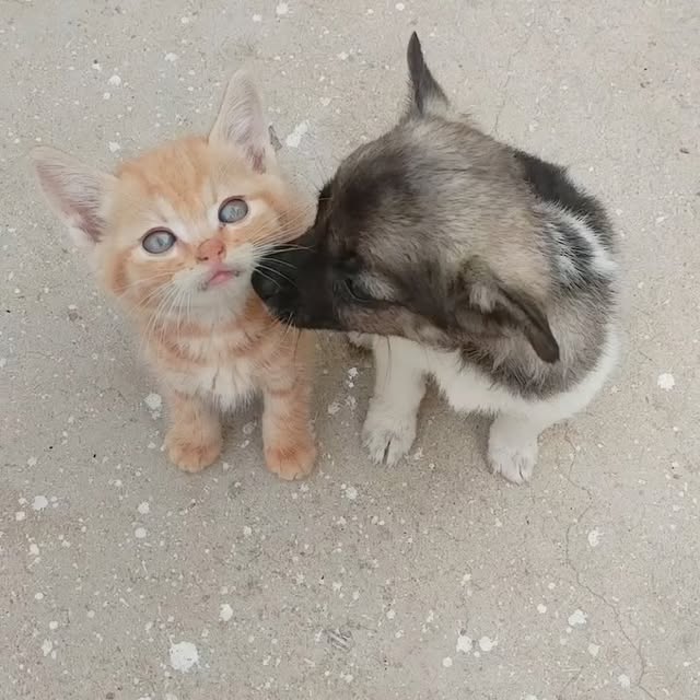  ...urre   'recent posts' 