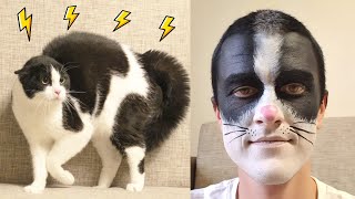  ....usic  'recent videos' 