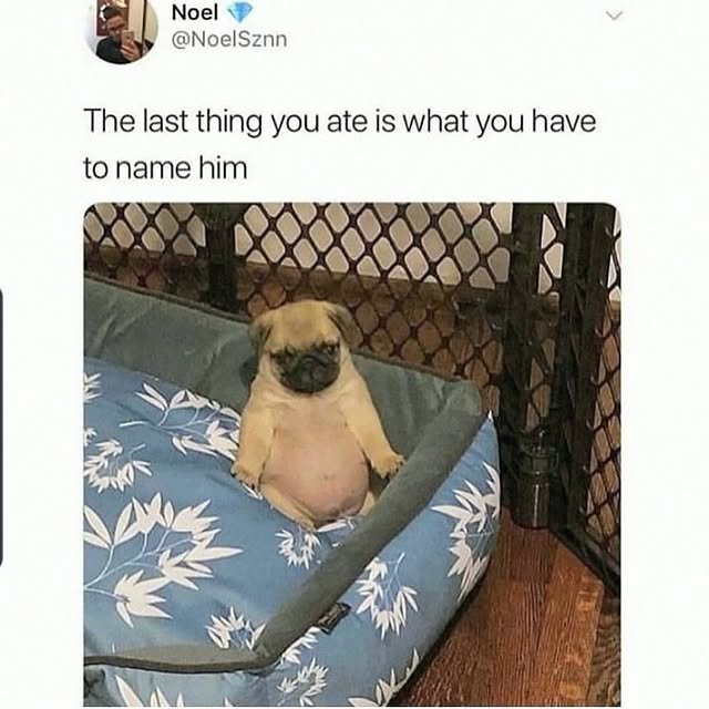  .........nuniverse   'recent posts' 