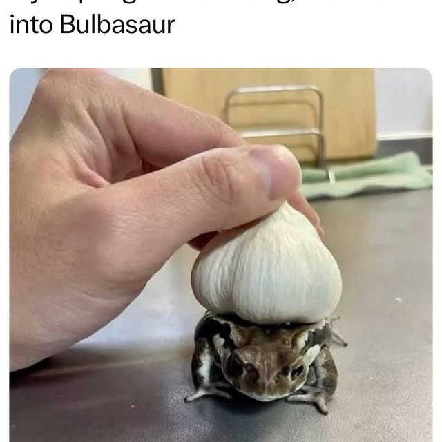  ............ttheinternet   'recent posts' 