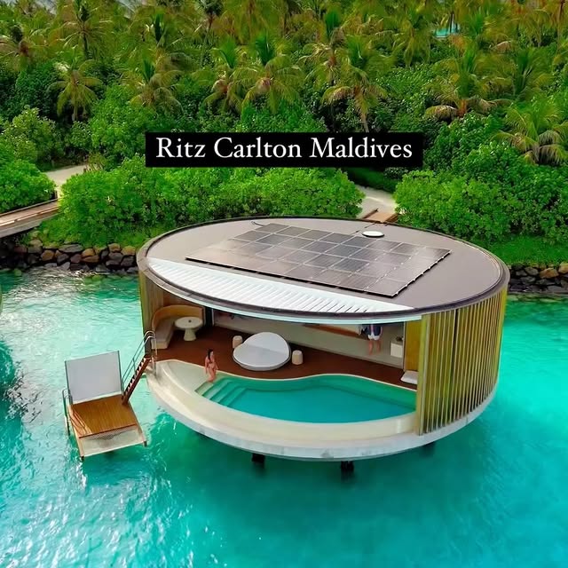  ......sunlit   'recent posts' 