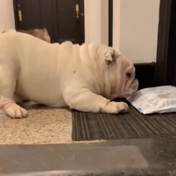  ......rwhite   'recent posts' 