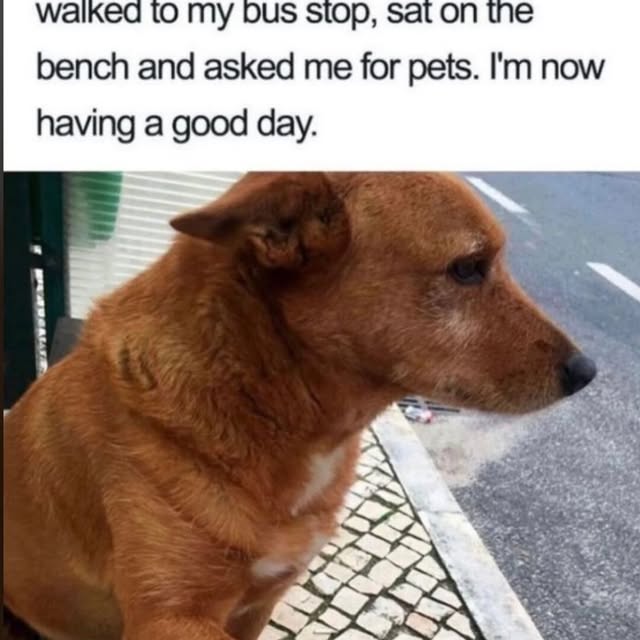  ..ps   'recent posts' 