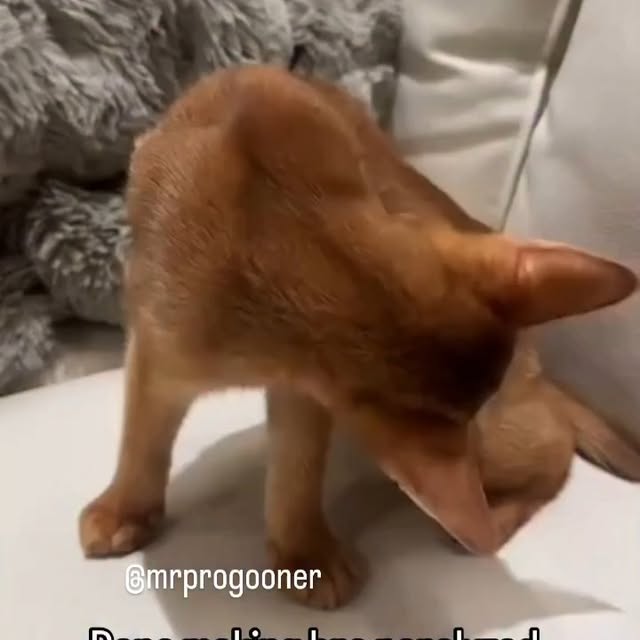  .....li9ht   'recent posts' 