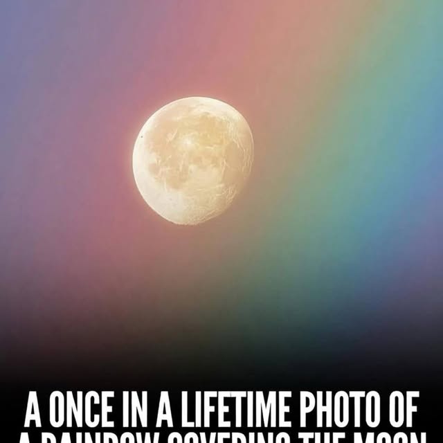  ......sfever   'recent posts' 