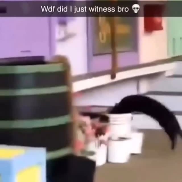  ......ingcat   'recent posts' 