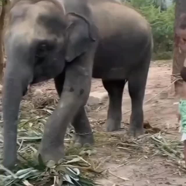  ......fehood   'recent posts' 