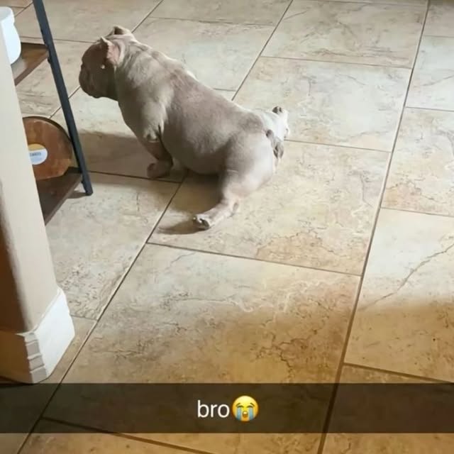  ....memes   'recent posts' 