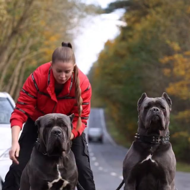  .........pet_world   'recent posts' 