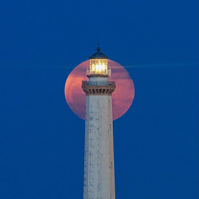  ......assano   'recent posts' 