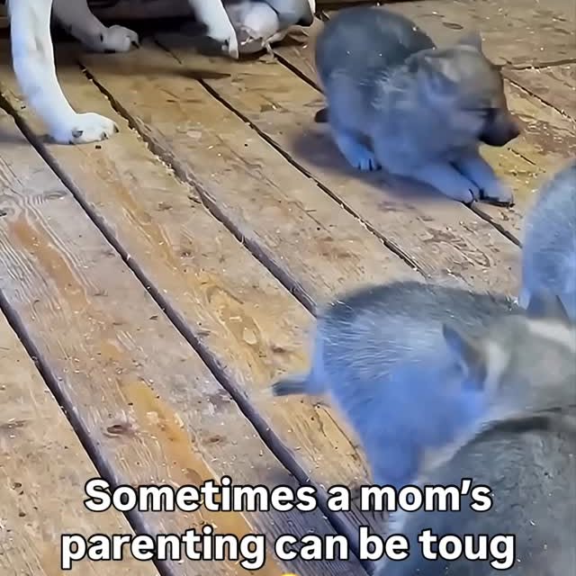  ........malsgram   'recent posts' 