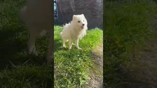  .....rthTv  'recent videos' 