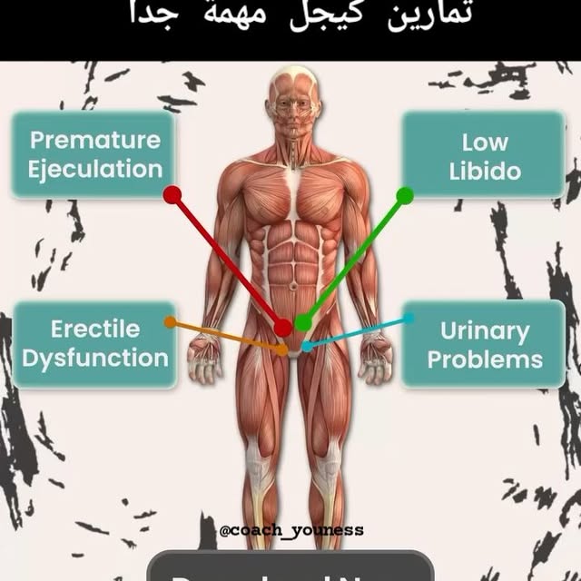  ......youness   'recent posts' 