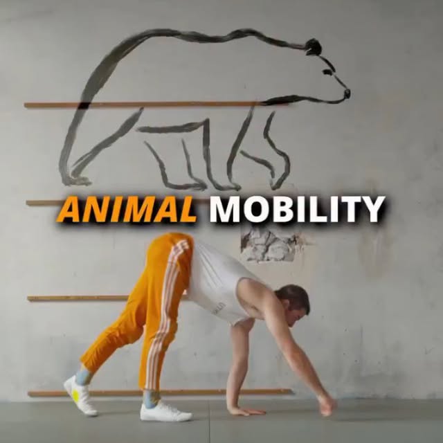  ......thenics   'recent posts' 