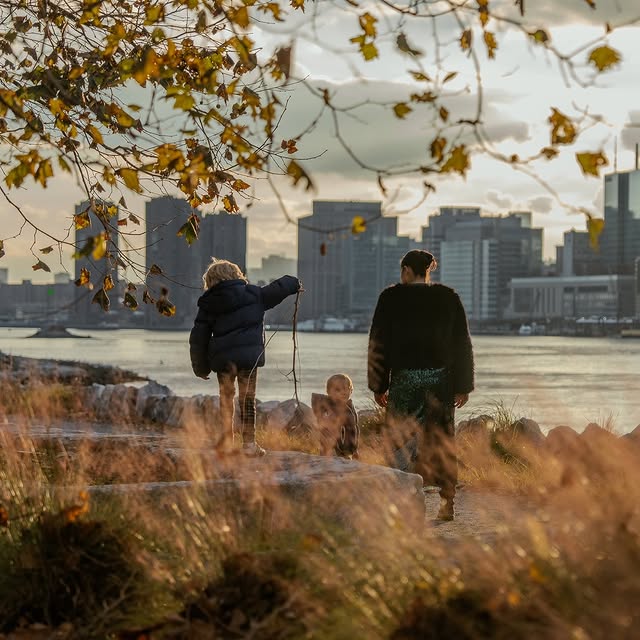  ........seflower   'recent posts' 