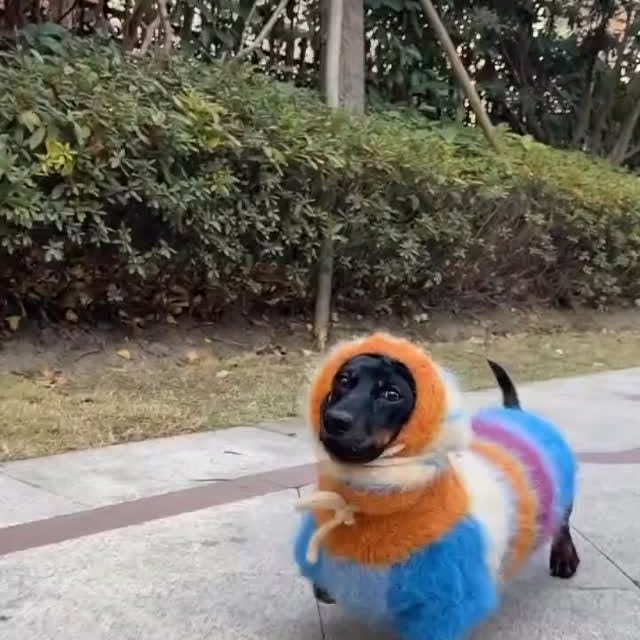  ..........fan.club_   'recent posts' 