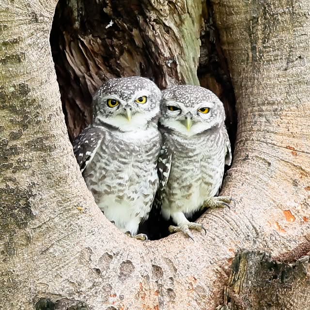  .....yland   'recent posts' 